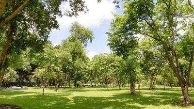 Park And Fifth Brodie Dress Elevate Your Style Effortlessly