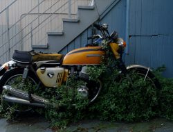 Motorcycle accessory coverage for every ride adventure