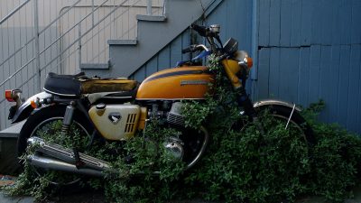 Feral CB750 - Justinsomnia